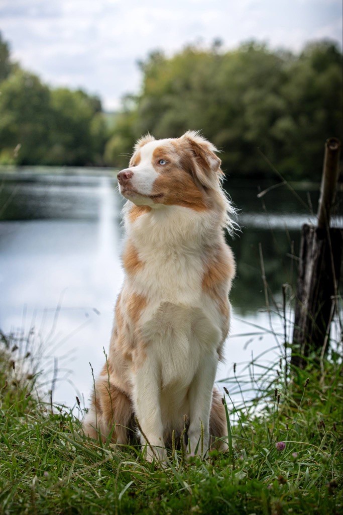 Vayanna La Légende D’Onikatan